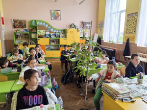 Снимка от галерията